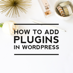 How to Add Plugins in WordPress