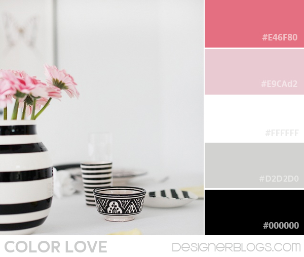 Black, White & Pink Color Palette