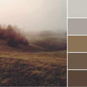 Color Love | Warm Grays & Browns