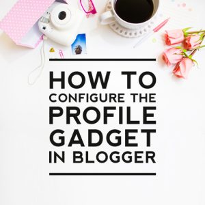 How to Configure the Profile Gadget