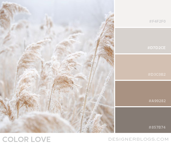 Featured image of post Neutral Pastel Color Palette