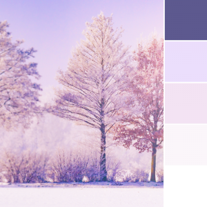 Color Love | Winter Hues