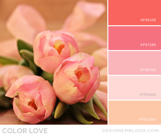 Tulip Pink & peach Color Palette