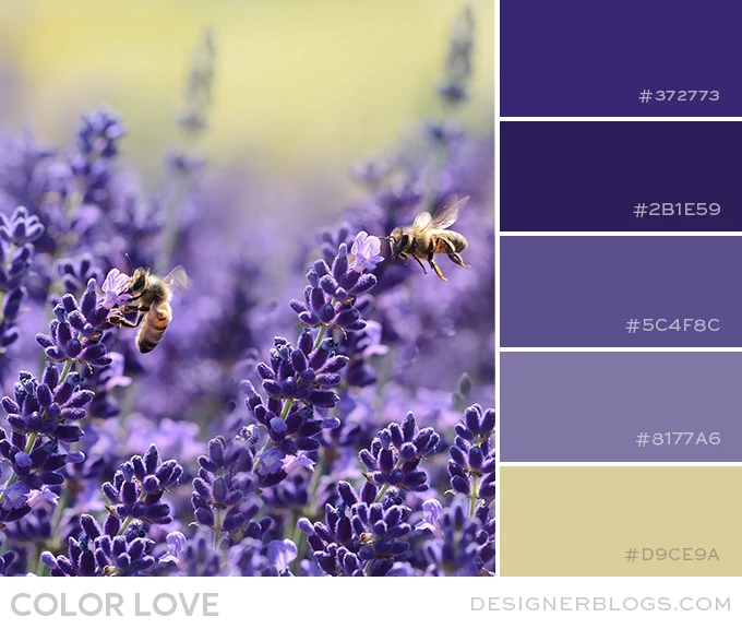 Lavender & Beige Color Palette