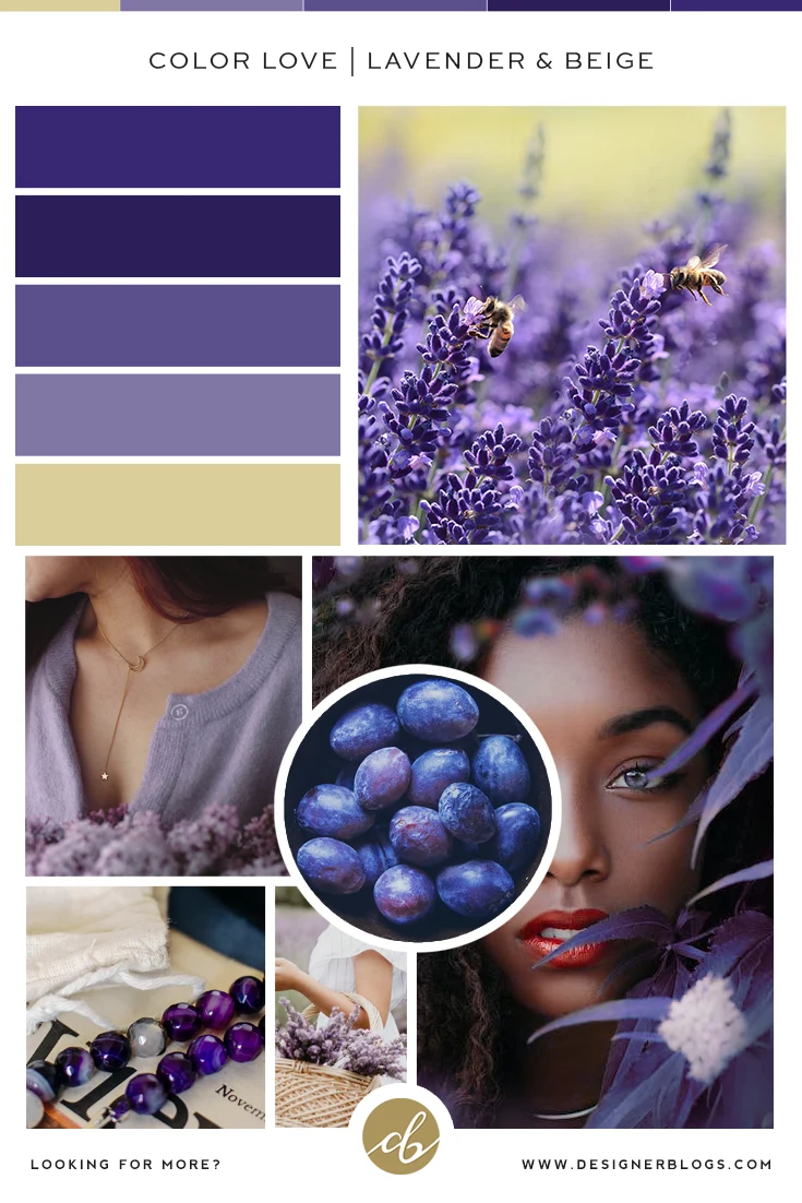 Lavender & Beige Color Palette and Inspirations