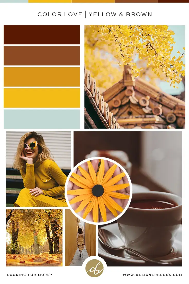 Yellow & Brown Color Palette and Inspirations