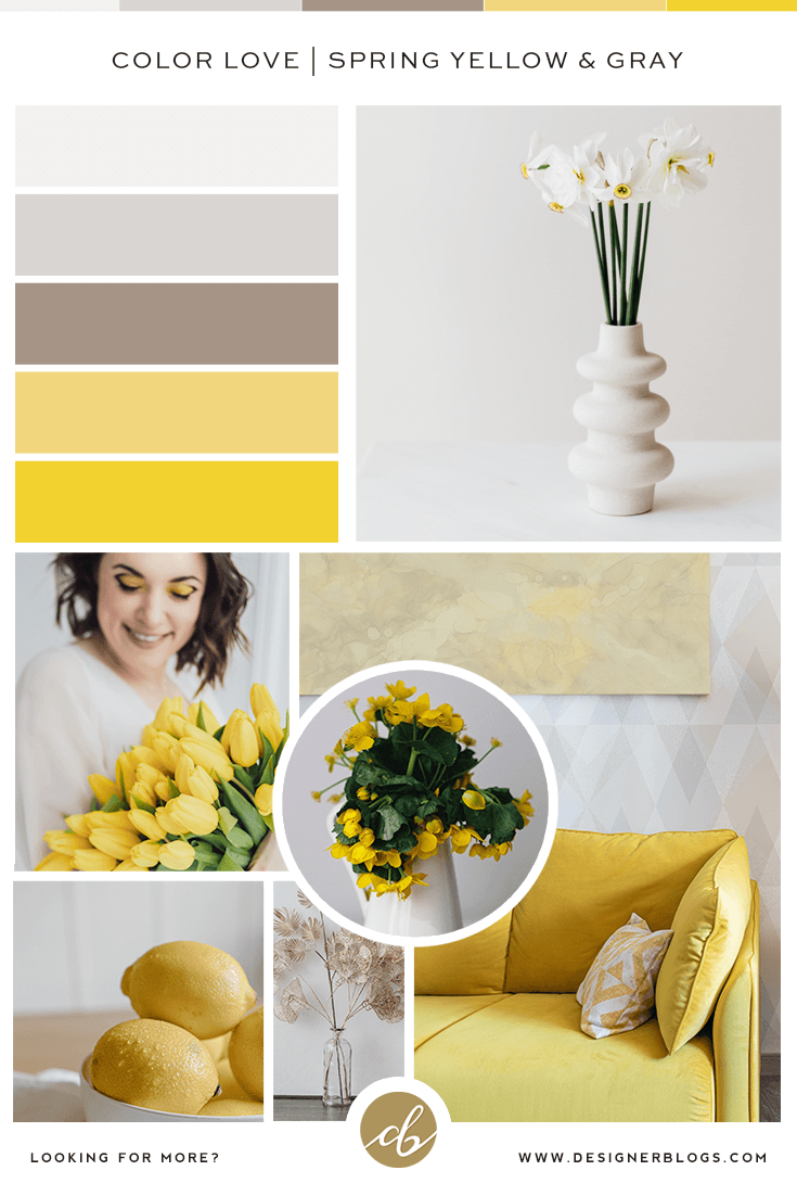 Spring Yellow & Gray Color Palette - yellow, beige and gray