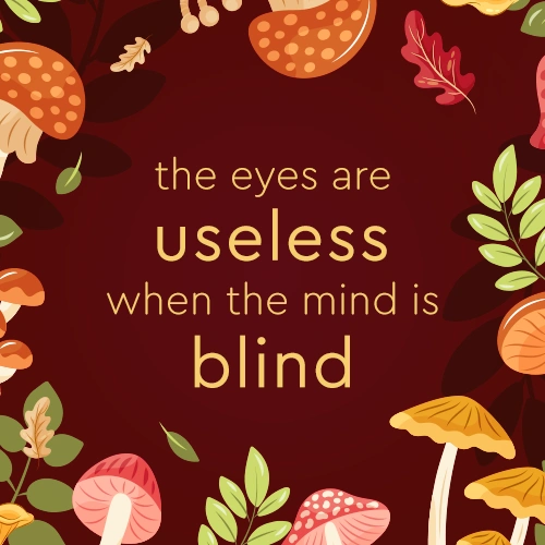 The eyes are useless when the mind is blind