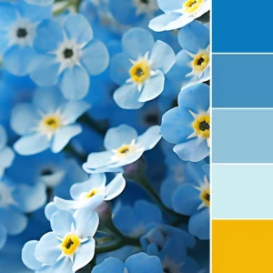 Color Love | Unforgettable Blue & Yellow
