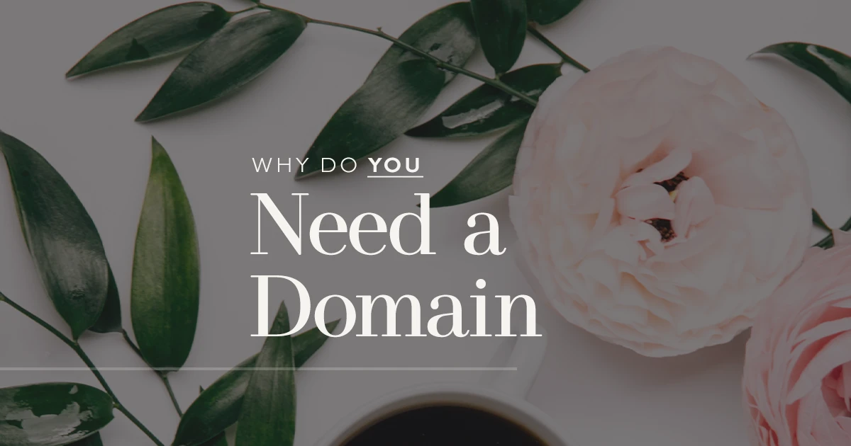 What is a domain name, and why do you need one now!