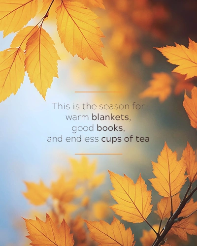 This is the season for warm blankets, good books, and endless cups of tea