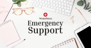 WordPress Emergency Support service graphic for fixing broken updates, plugin conflicts, and website errors.