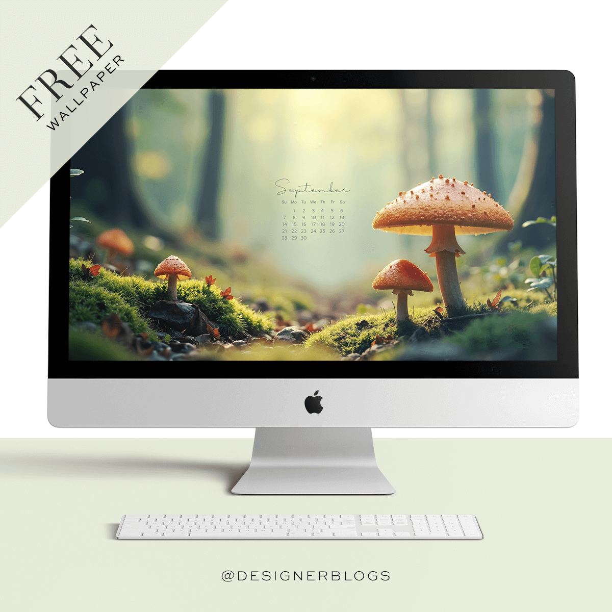 Free September 2025 Wallpaper – A Calming Mushroom Path