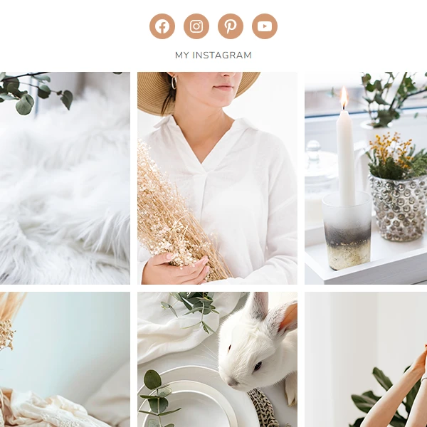 The full-width visual grid preview at the base of the Charlotte romantic WordPress theme, showcasing a curated lifestyle Instagram feed.